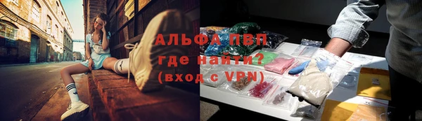 apvp Алексин