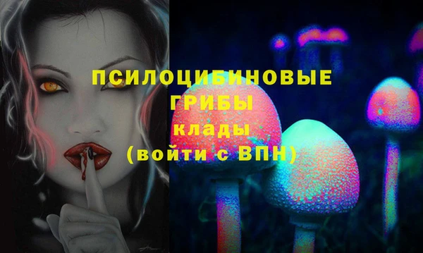 скорость Алзамай