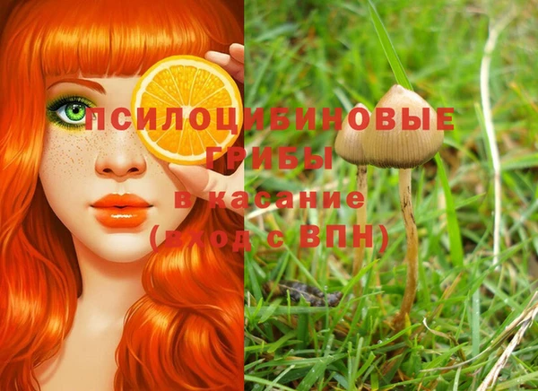 скорость Алзамай