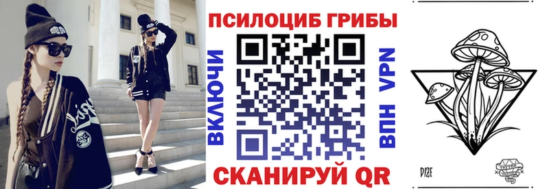 Псилоцибиновые грибы мицелий  Купить закладки  Новая Усмань 
